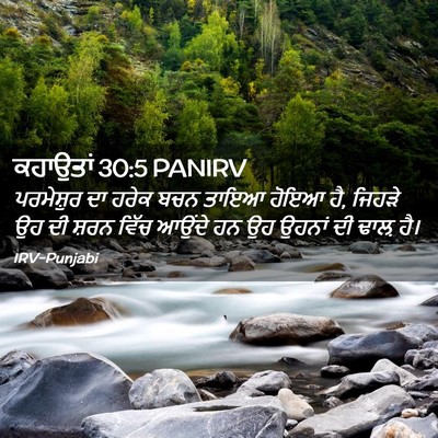 Picture 02 - ਕਹਾਉਤਾਂ 30:5 PANIRV - ਪਰਮੇਸ਼ੁਰ ਦਾ ਹਰੇਕ - Bible Verse Picture