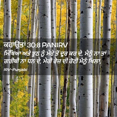 Picture 02 - ਕਹਾਉਤਾਂ 30:8 PANIRV - ਮਿੱਥਿਆ ਅਤੇ ਝੂਠ ਨੂੰ - Bible Verse Picture