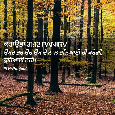 Picture 02 - ਕਹਾਉਤਾਂ 31:12 PANIRV - ਉਮਰ ਭਰ ਉਹ ਉਸ ਦੇ ਨਾਲ - Bible Verse Picture