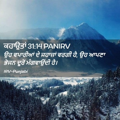 Picture 02 - ਕਹਾਉਤਾਂ 31:14 PANIRV - ਉਹ ਵਪਾਰੀਆਂ ਦੇ - Bible Verse Picture