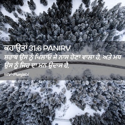Picture 02 - ਕਹਾਉਤਾਂ 31:6 PANIRV - ਸ਼ਰਾਬ ਉਸ ਨੂੰ ਪਿਲਾਓ - Bible Verse Picture