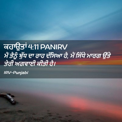 Picture 02 - ਕਹਾਉਤਾਂ 4:11 PANIRV - ਮੈਂ ਤੈਨੂੰ ਬੁੱਧ ਦਾ - Bible Verse Picture
