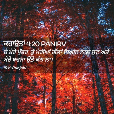 Picture 02 - ਕਹਾਉਤਾਂ 4:20 PANIRV - ਹੇ ਮੇਰੇ ਪੁੱਤਰ, ਤੂੰ - Bible Verse Picture