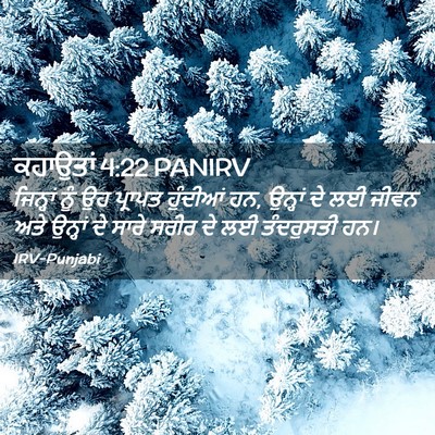 Picture 02 - ਕਹਾਉਤਾਂ 4:22 PANIRV - ਜਿਨ੍ਹਾਂ ਨੂੰ ਉਹ - Bible Verse Picture