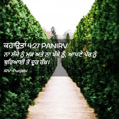 Picture 02 - ਕਹਾਉਤਾਂ 4:27 PANIRV - ਨਾ ਸੱਜੇ ਨੂੰ ਮੁੜ ਅਤੇ - Bible Verse Picture