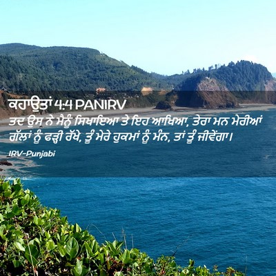Picture 02 - ਕਹਾਉਤਾਂ 4:4 PANIRV - ਤਦ ਉਸ ਨੇ ਮੈਨੂੰ - Bible Verse Picture