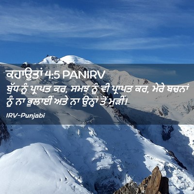 Picture 02 - ਕਹਾਉਤਾਂ 4:5 PANIRV - ਬੁੱਧ ਨੂੰ ਪ੍ਰਾਪਤ ਕਰ, - Bible Verse Picture