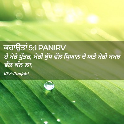 Picture 02 - ਕਹਾਉਤਾਂ 5:1 PANIRV - ਹੇ ਮੇਰੇ ਪੁੱਤਰ, ਮੇਰੀ - Bible Verse Picture