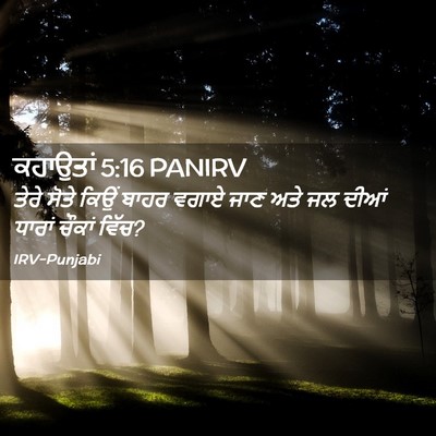 Picture 02 - ਕਹਾਉਤਾਂ 5:16 PANIRV - ਤੇਰੇ ਸੋਤੇ ਕਿਉਂ - Bible Verse Picture