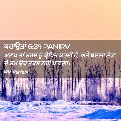 Picture 02 - ਕਹਾਉਤਾਂ 6:34 PANIRV - ਅਣਖ ਤਾਂ ਮਰਦ ਨੂੰ - Bible Verse Picture