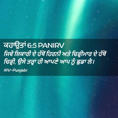 Picture 02 - ਕਹਾਉਤਾਂ 6:5 PANIRV - ਜਿਵੇਂ ਸ਼ਿਕਾਰੀ ਦੇ - Bible Verse Picture
