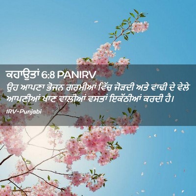 Picture 02 - ਕਹਾਉਤਾਂ 6:8 PANIRV - ਉਹ ਆਪਣਾ ਭੋਜਨ - Bible Verse Picture