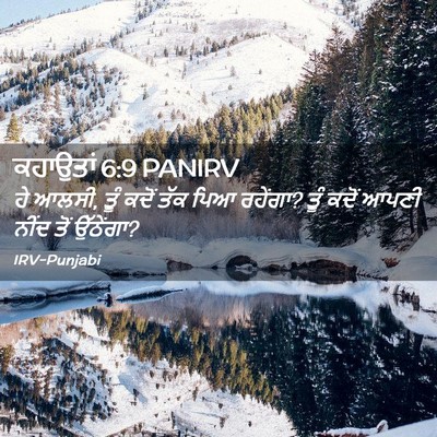 Picture 02 - ਕਹਾਉਤਾਂ 6:9 PANIRV - ਹੇ ਆਲਸੀ, ਤੂੰ ਕਦੋਂ - Bible Verse Picture