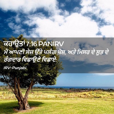 Picture 02 - ਕਹਾਉਤਾਂ 7:16 PANIRV - ਮੈਂ ਆਪਣੀ ਸੇਜ਼ ਉੱਤੇ - Bible Verse Picture