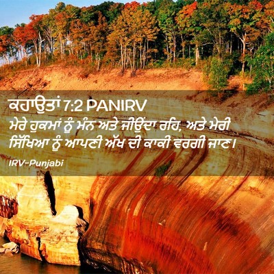 Picture 02 - ਕਹਾਉਤਾਂ 7:2 PANIRV - ਮੇਰੇ ਹੁਕਮਾਂ ਨੂੰ - Bible Verse Picture