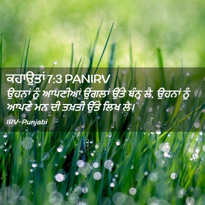 Picture 02 - ਕਹਾਉਤਾਂ 7:3 PANIRV - ਉਹਨਾਂ ਨੂੰ ਆਪਣੀਆਂ - Bible Verse Picture