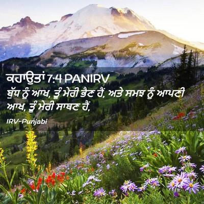 Picture 02 - ਕਹਾਉਤਾਂ 7:4 PANIRV - ਬੁੱਧ ਨੂੰ ਆਖ, ਤੂੰ - Bible Verse Picture