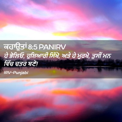 Picture 02 - ਕਹਾਉਤਾਂ 8:5 PANIRV - ਹੇ ਭੋਲਿਓ, ਹੁਸ਼ਿਆਰੀ - Bible Verse Picture