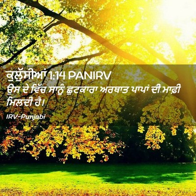 Picture 02 - ਕੁਲੁੱਸੀਆਂ 1:14 PANIRV - ਉਸ ਦੇ ਵਿੱਚ ਸਾਨੂੰ - Bible Verse Picture