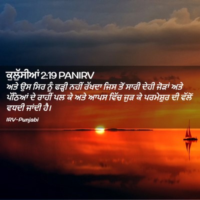 Picture 02 - ਕੁਲੁੱਸੀਆਂ 2:19 PANIRV - ਅਤੇ ਉਸ ਸਿਰ ਨੂੰ - Bible Verse Picture