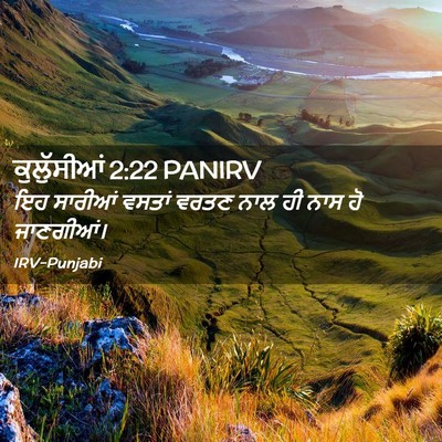 Picture 02 - ਕੁਲੁੱਸੀਆਂ 2:22 PANIRV - ਇਹ ਸਾਰੀਆਂ ਵਸਤਾਂ - Bible Verse Picture