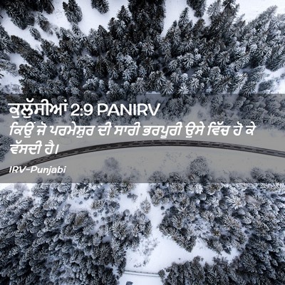 Picture 02 - ਕੁਲੁੱਸੀਆਂ 2:9 PANIRV - ਕਿਉਂ ਜੋ ਪਰਮੇਸ਼ੁਰ - Bible Verse Picture