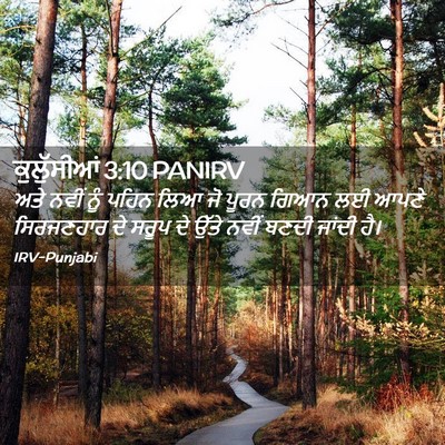 Picture 02 - ਕੁਲੁੱਸੀਆਂ 3:10 PANIRV - ਅਤੇ ਨਵੀਂ ਨੂੰ ਪਹਿਨ - Bible Verse Picture