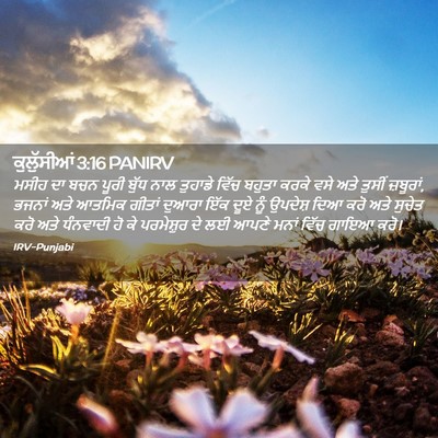 Picture 02 - ਕੁਲੁੱਸੀਆਂ 3:16 PANIRV - ਮਸੀਹ ਦਾ ਬਚਨ ਪੂਰੀ - Bible Verse Picture