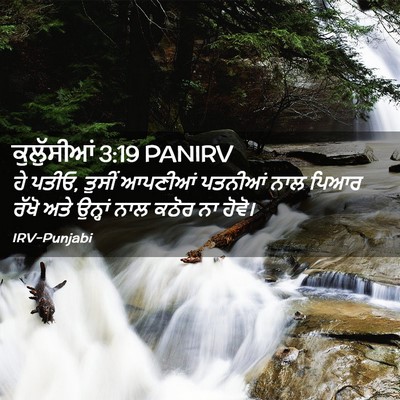 Picture 02 - ਕੁਲੁੱਸੀਆਂ 3:19 PANIRV - ਹੇ ਪਤੀਓ, ਤੁਸੀਂ - Bible Verse Picture