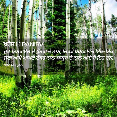 Picture 02 - ਖ਼ਰੋਜ 1:1 PANIRV - ਹੁਣ ਇਸਰਾਏਲ ਦੇ - Bible Verse Picture