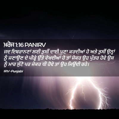 Picture 02 - ਖ਼ਰੋਜ 1:16 PANIRV - ਜਦ ਇਬਰਾਨਣਾਂ ਲਈ - Bible Verse Picture