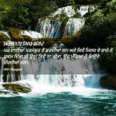 Picture 02 - ਖ਼ਰੋਜ 1:17 PANIRV - ਪਰ ਦਾਈਆਂ ਪਰਮੇਸ਼ੁਰ - Bible Verse Picture