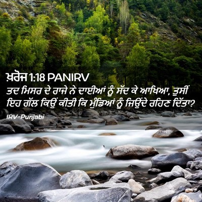 Picture 02 - ਖ਼ਰੋਜ 1:18 PANIRV - ਤਦ ਮਿਸਰ ਦੇ ਰਾਜੇ ਨੇ - Bible Verse Picture