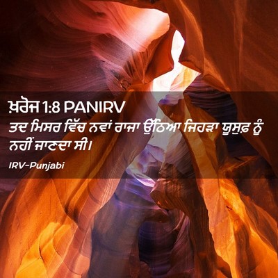 Picture 02 - ਖ਼ਰੋਜ 1:8 PANIRV - ਤਦ ਮਿਸਰ ਵਿੱਚ ਨਵਾਂ - Bible Verse Picture