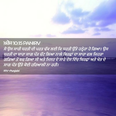 Picture 02 - ਖ਼ਰੋਜ 10:15 PANIRV - ਸੋ ਉਸ ਸਾਰੀ ਧਰਤੀ ਦੀ - Bible Verse Picture