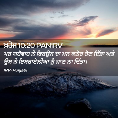 Picture 02 - ਖ਼ਰੋਜ 10:20 PANIRV - ਪਰ ਯਹੋਵਾਹ ਨੇ - Bible Verse Picture
