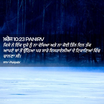 Picture 02 - ਖ਼ਰੋਜ 10:23 PANIRV - ਕਿਸੇ ਨੇ ਇੱਕ ਦੂਜੇ - Bible Verse Picture