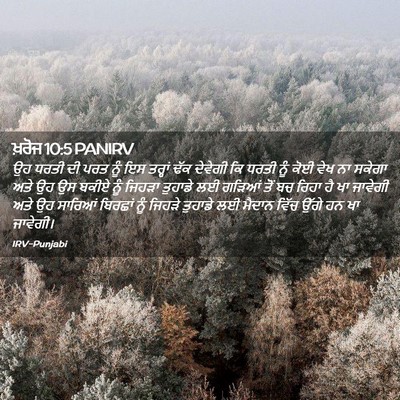 Picture 02 - ਖ਼ਰੋਜ 10:5 PANIRV - ਉਹ ਧਰਤੀ ਦੀ ਪਰਤ ਨੂੰ - Bible Verse Picture