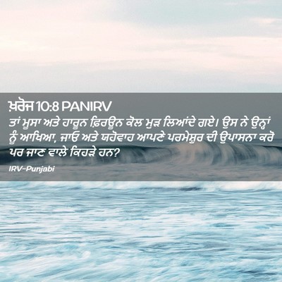 Picture 02 - ਖ਼ਰੋਜ 10:8 PANIRV - ਤਾਂ ਮੂਸਾ ਅਤੇ ਹਾਰੂਨ - Bible Verse Picture