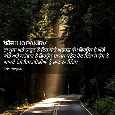 Picture 02 - ਖ਼ਰੋਜ 11:10 PANIRV - ਤਾਂ ਮੂਸਾ ਅਤੇ ਹਾਰੂਨ - Bible Verse Picture