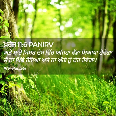 Picture 02 - ਖ਼ਰੋਜ 11:6 PANIRV - ਅਤੇ ਸਾਰੇ ਮਿਸਰ ਦੇਸ - Bible Verse Picture