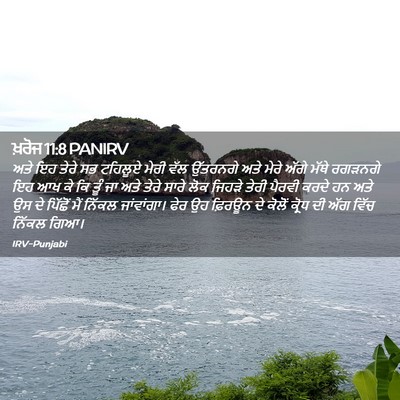 Picture 02 - ਖ਼ਰੋਜ 11:8 PANIRV - ਅਤੇ ਇਹ ਤੇਰੇ ਸਭ - Bible Verse Picture