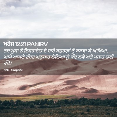 Picture 02 - ਖ਼ਰੋਜ 12:21 PANIRV - ਤਦ ਮੂਸਾ ਨੇ ਇਸਰਾਏਲ - Bible Verse Picture