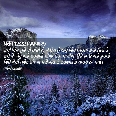 Picture 02 - ਖ਼ਰੋਜ 12:22 PANIRV - ਤੁਸੀਂ ਇੱਕ ਜੂਫ਼ੇ ਦੀ - Bible Verse Picture