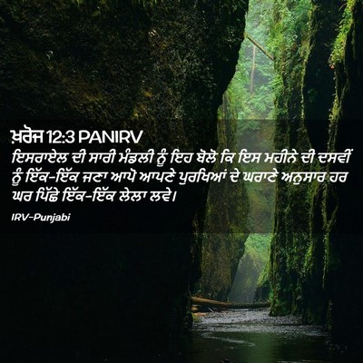Picture 02 - ਖ਼ਰੋਜ 12:3 PANIRV - ਇਸਰਾਏਲ ਦੀ ਸਾਰੀ - Bible Verse Picture