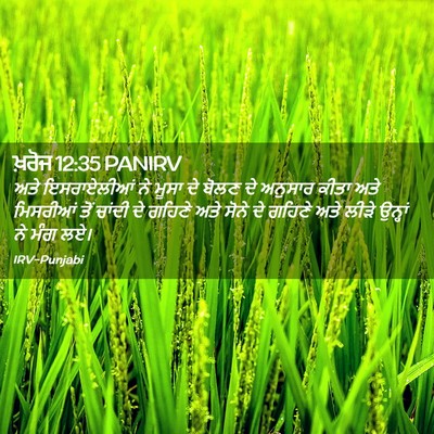Picture 02 - ਖ਼ਰੋਜ 12:35 PANIRV - ਅਤੇ ਇਸਰਾਏਲੀਆਂ ਨੇ - Bible Verse Picture