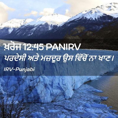 Picture 02 - ਖ਼ਰੋਜ 12:45 PANIRV - ਪਰਦੇਸੀ ਅਤੇ ਮਜ਼ਦੂਰ - Bible Verse Picture