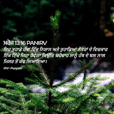 Picture 02 - ਖ਼ਰੋਜ 13:16 PANIRV - ਇਹ ਤੁਹਾਡੇ ਹੱਥਾਂ - Bible Verse Picture