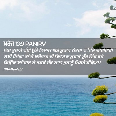 Picture 02 - ਖ਼ਰੋਜ 13:9 PANIRV - ਇਹ ਤੁਹਾਡੇ ਹੱਥਾਂ - Bible Verse Picture