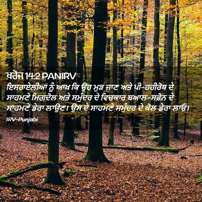 Picture 02 - ਖ਼ਰੋਜ 14:2 PANIRV - ਇਸਰਾਏਲੀਆਂ ਨੂੰ ਆਖ - Bible Verse Picture